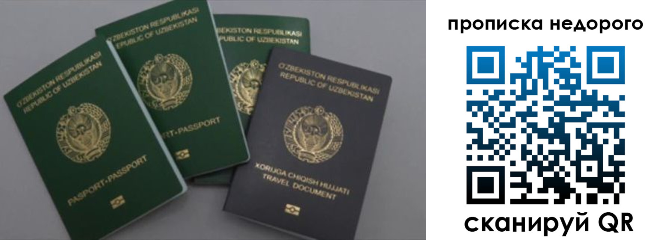 регистрация для школы в Кудрово