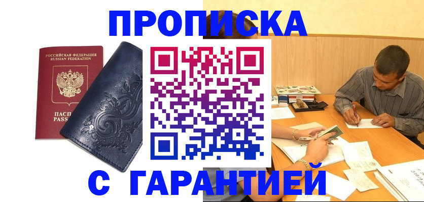 прописка поиск в Кудрово